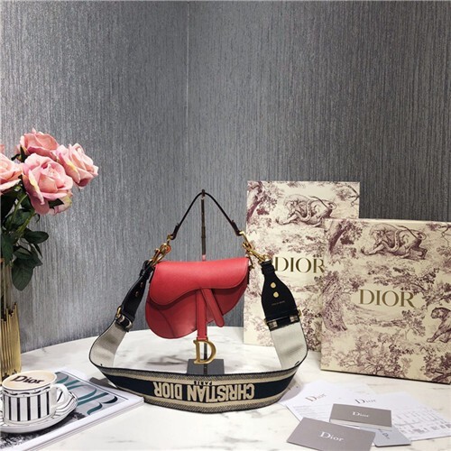 디* 새들백 saddle m0447 19.5cm (스트랩선택가능함)