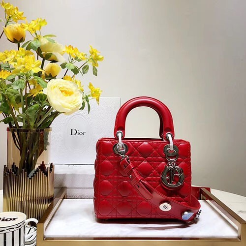 디* 레이디백 20cm d38609-10