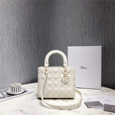  디* 레이디 24cm d0565
