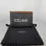  2020 triomphe canvas clutch bag,24cm - 셀린* 2020 트리옴페 캔버스 클러치백,celb0003,24cm,브라운