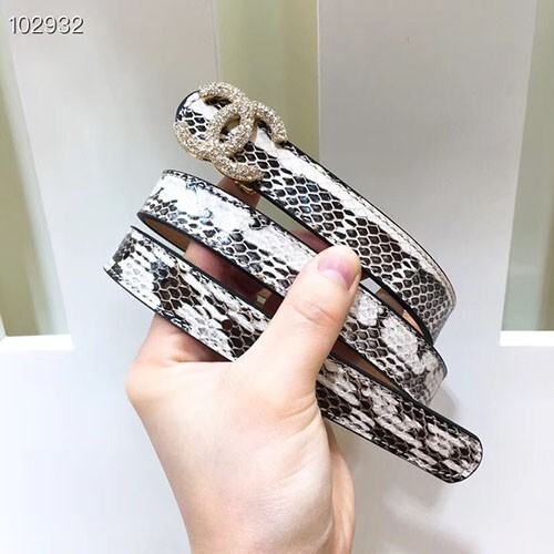 샤* 벨트 넓이 2.0mm c36920