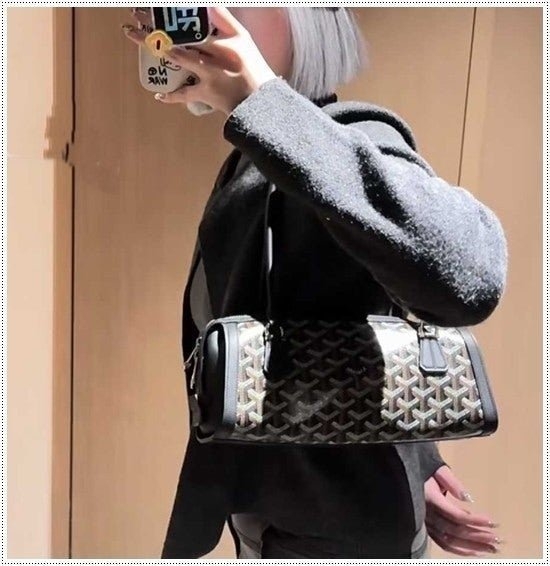 고야드 봉보르니에르