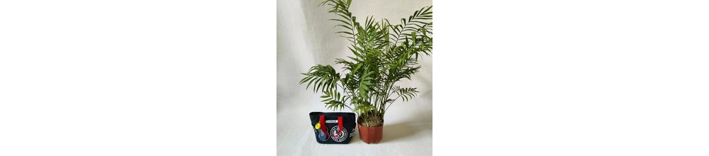 3a208e2c0456ebd66879292b03d74ed3.jpg